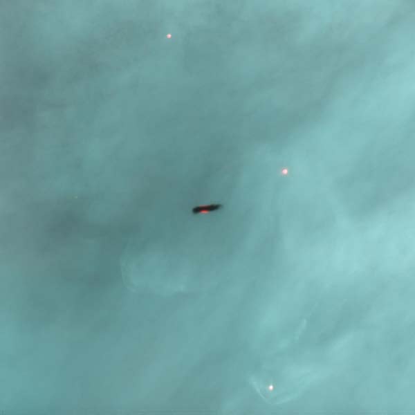 Hubble Space Telescope image of a protoplanetary disk silhouetted against a background of light from the larger nebula.